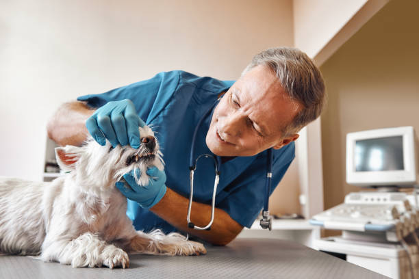 Best Emergency Tooth Extraction in Elberta, AL
